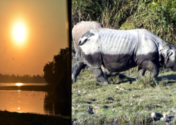 Kaziranga National Park : আজিৰে পৰা বন্ধ হ’ব কাজিৰঙাৰ ২০২৩-২৪ পৰ্যটন বৰ্ষ : ৯ কোটি টকাৰ ৰাজহ লাভেৰে পূৰ্বৰ অভিলেখ ভংগ