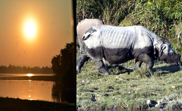 Kaziranga National Park : আজিৰে পৰা বন্ধ হ’ব কাজিৰঙাৰ ২০২৩-২৪ পৰ্যটন বৰ্ষ : ৯ কোটি টকাৰ ৰাজহ লাভেৰে পূৰ্বৰ অভিলেখ ভংগ
