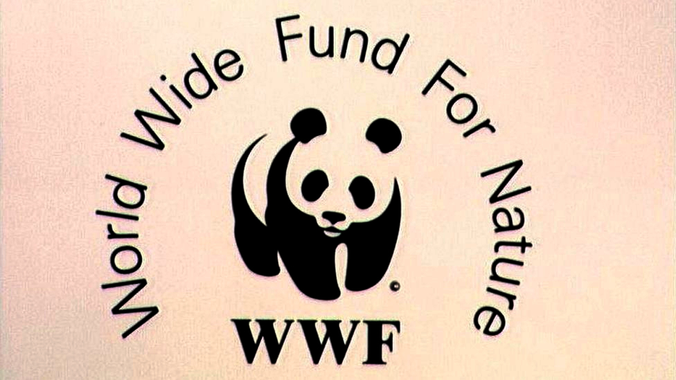 wwf | ASSAM TIMES POST