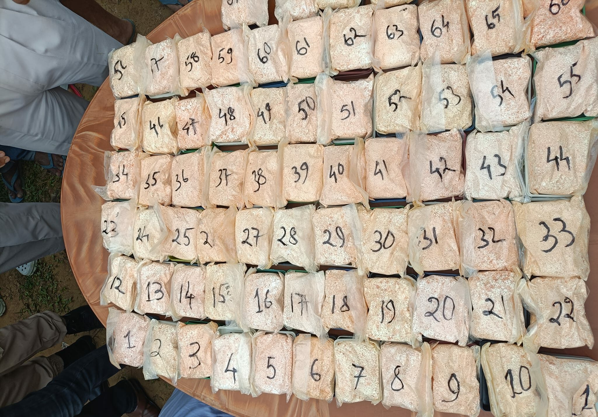 445392602 779938090939148 5314118827242856249 n e1717256645432 | ASSAM TIMES POST