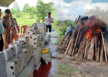 Seized drugs and ganja burn : ডিফুত ১৬ কোটি ৪৩ লাখ টকাৰ ড্ৰাগছ দহন