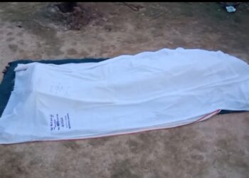 কাৰ্বি আংলঙত চাঞ্চল্যকৰ ঘটনা, কাঠৰ টুকুৰাৰে মৰিয়াই হত্যা পত্নীক-