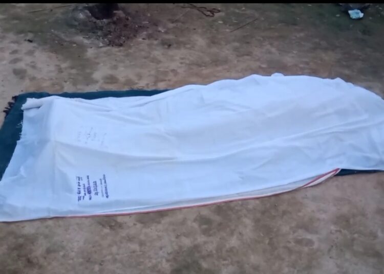 কাৰ্বি আংলঙত চাঞ্চল্যকৰ ঘটনা, কাঠৰ টুকুৰাৰে মৰিয়াই হত্যা পত্নীক-