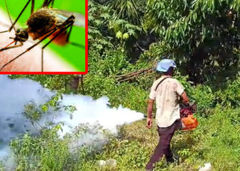 Japanese encephalitis : কাৰবি আংলঙত জাপানীজ এনকে ফ্লাইটিজৰ প্ৰাদূৰ্ভাৱ, মুঠ ৬ গৰাকী আক্ৰান্ত