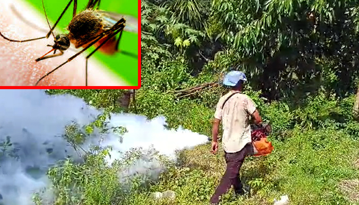 Japanese encephalitis : কাৰবি আংলঙত জাপানীজ এনকে ফ্লাইটিজৰ প্ৰাদূৰ্ভাৱ, মুঠ ৬ গৰাকী আক্ৰান্ত 1 Japanese encephalitis : কাৰবি আংলঙত জাপানীজ এনকে ফ্লাইটিজৰ প্ৰাদূৰ্ভাৱ, মুঠ ৬ গৰাকী আক্ৰান্ত
