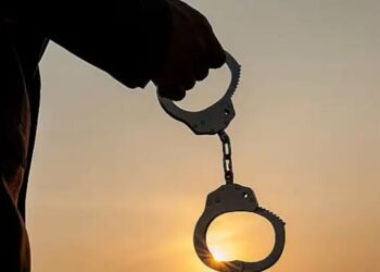 Shocking Scandal: Businesswoman’s Shocking Arrest for Alleged Nexus with NSCN in Golaghat