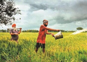 Surprising Turn: Strong Volume Fails to Lift Indian Agrochemical Giants Amid Weak Pricing