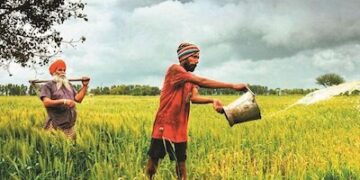 Surprising Turn: Strong Volume Fails to Lift Indian Agrochemical Giants Amid Weak Pricing