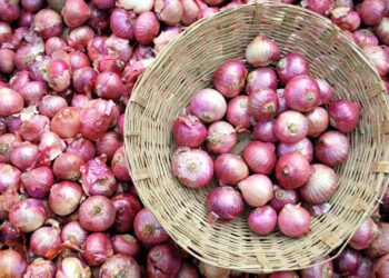 “কাৰবি আংলঙত আলু-পিয়াজৰ মূল্যবৃদ্ধি: চিইএম তুলিৰাম ৰংহাঙে উদ্বিগ্নতা প্ৰকাশ, প্ৰৱেশ কৰ প্ৰত্যাহাৰ”