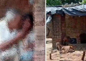 Minor Rape Case : উত্তৰ প্ৰদেশত ৬ বছৰীয়া দলিত শিশুক ধৰ্ষণ, ৰেহাই নাপালে ছাগলীও