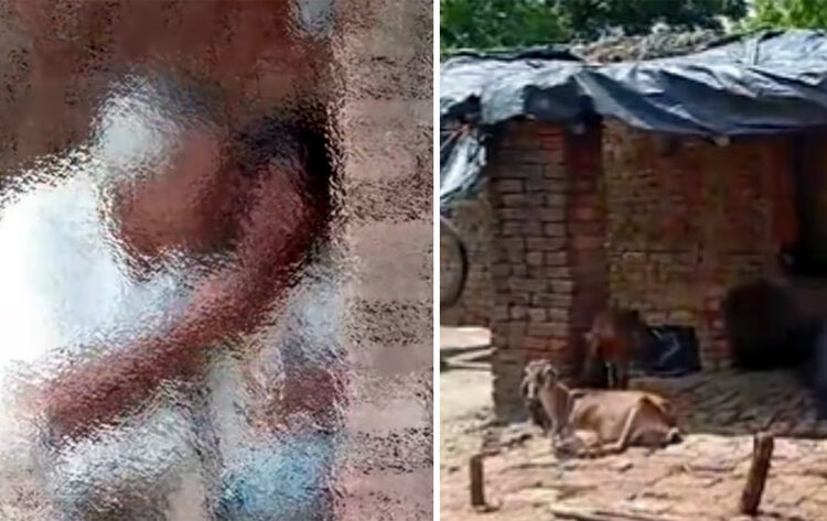 Minor Rape Case : উত্তৰ প্ৰদেশত ৬ বছৰীয়া দলিত শিশুক ধৰ্ষণ, ৰেহাই নাপালে ছাগলীও