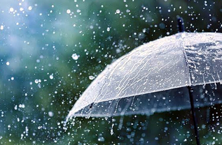 Rain Forecast in NE : উত্তৰ-পূৰ্বাঞ্চলত ধাৰাসাৰ বৰষুণৰ পূৰ্বাভাস বতৰ বিজ্ঞান কেন্দ্ৰৰ