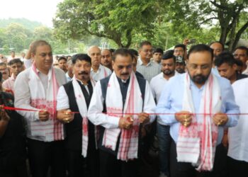 Kaziranga National Park I আজিৰে পৰা পৰ্যটকৰ বাবে পুনৰ মুকলি কাজিৰঙা ৰাষ্ট্ৰীয় উদ্যান