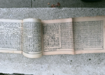 Ancient Sanskrit Book I জাৰ্মানীত আৱিষ্কাৰ হৈছে এখন অচিনাকি সংস্কৃত গ্ৰন্থ, প্ৰতিটো পৃষ্ঠাতে লুকাই আছে ৰহস্য