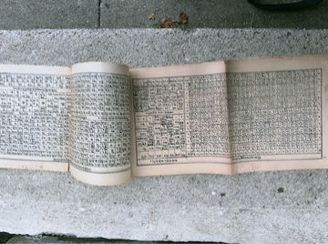 Ancient Sanskrit Book I জাৰ্মানীত আৱিষ্কাৰ হৈছে এখন অচিনাকি সংস্কৃত গ্ৰন্থ, প্ৰতিটো পৃষ্ঠাতে লুকাই আছে ৰহস্য