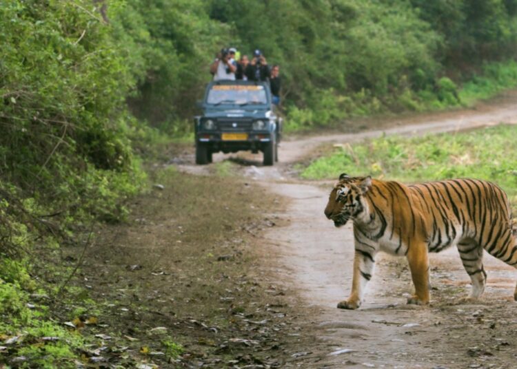 Jim Corbett National Park I বন সংৰক্ষণৰ নামত কৰবেট ৰাষ্ট্ৰীয় উদ্যানত মহিলাৰ ওপৰত নিৰীক্ষণৰ অভিযোগ