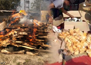 Seized drugs Burned : জব্দকৃত ২৬ কোটি টকাতকৈয়ো অধিক মূল্যৰ ড্ৰাগছ ডিফুত দাহ