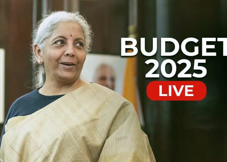 Budget 2025 I বাজেটত গিগ কৰ্মীৰ বাবে চৰকাৰী পৰিচয় পত্ৰ আৰু স্বাস্থ্য বীমা ঘোষণা বিত্তমন্ত্ৰীৰ
