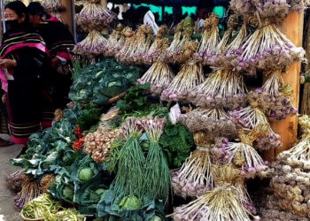 Embracing Flavors, Celebrating Culture : Nagaland’s First-Ever Garlic Festival in Khonoma