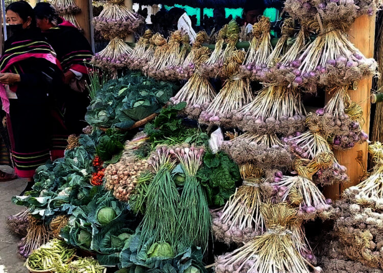 Embracing Flavors, Celebrating Culture : Nagaland’s First-Ever Garlic Festival in Khonoma