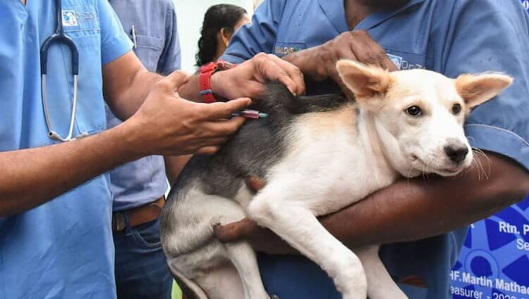 Rabies Outbreak in Manipur I Deadly Crisis Engulfs Hundreds in Fear and Desperation