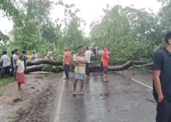 ধুমুহাৰ প্ৰচণ্ড আক্ৰমণ: ডিফু মাঞ্জা পথৰ ৯ মাইল অঞ্চলত বিস্তৰ ক্ষতি
