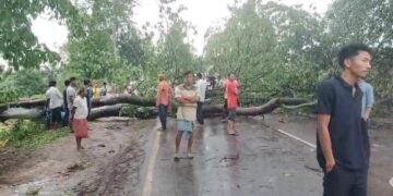 ধুমুহাৰ প্ৰচণ্ড আক্ৰমণ: ডিফু মাঞ্জা পথৰ ৯ মাইল অঞ্চলত বিস্তৰ ক্ষতি