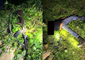 Assam: Suspected poacher killed in Kaziranga in crossfire with Joint team of Police and Forest officials