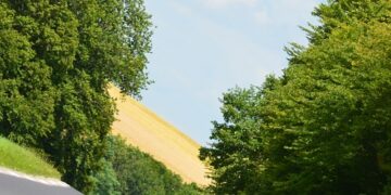 Are We Ready to Embrace Change? Navigating the Human-Centric Landscape of Digital Transformation in Assam’s Public Sector