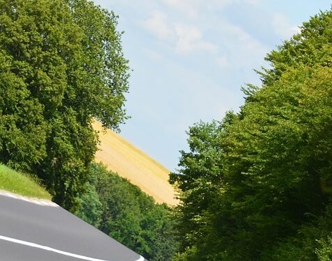 Are We Ready to Embrace Change? Navigating the Human-Centric Landscape of Digital Transformation in Assam’s Public Sector