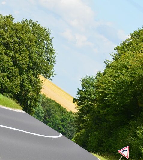 Are We Ready to Embrace Change? Navigating the Human-Centric Landscape of Digital Transformation in Assam’s Public Sector