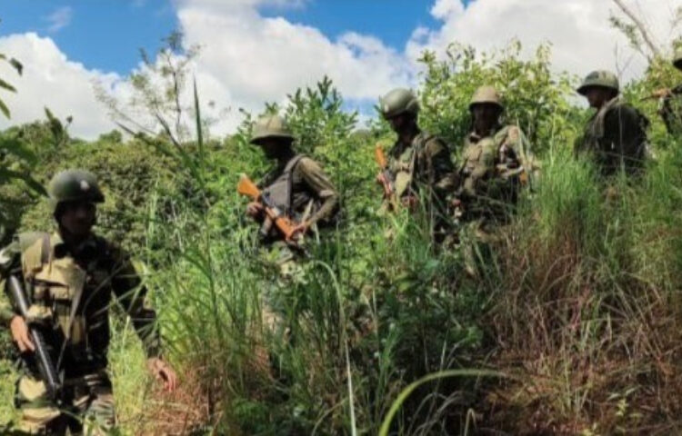 Tragic Ambush I 2 Naga Cadres Killed by Indian Forces, Claims NSCN