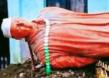Nehru statue vandalised I কাছাৰত নেহৰুৰ প্ৰতিমূৰ্তি ভাঙিলে দুৰ্বৃত্তই